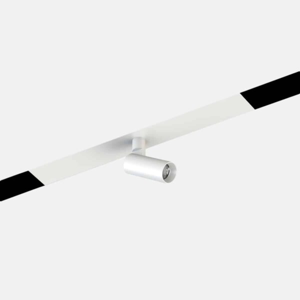 Focus 21S for Minifile System