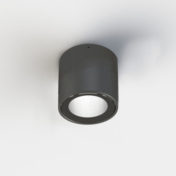 Ipipedi Outdoor R90/90H ceiling